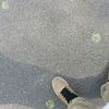 paul selig klose  - @paul_s.k - TikTok