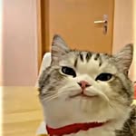 Paul Serino - @paulserino0062 - Instagram