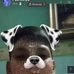 Paul Zerpa - Facebook