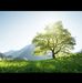 Paul Servais - Facebook