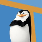 Paul Service - @penguinfenders - Instagram