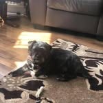 Paul Servis - @suggs64 - Instagram
