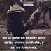 Pol Zedlav - Facebook