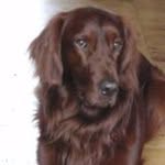Paul Setter - @instapaulsetter - Instagram