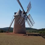 Paul Seulas - @paulseulas - Instagram