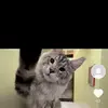 Paul - @paulsee.us - TikTok