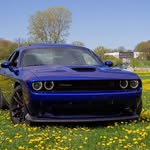 Paul Severson - @agent3054 - Instagram
