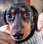 Paul Seward - Facebook