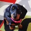 Paul Seward - @paul.seward5 - TikTok