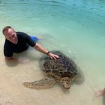 Paul Sheen - @paul.sheen.906 - Instagram