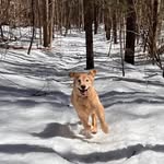 Paul Shepardson - @shepardsonpaul - Instagram