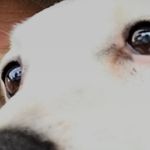 Paul Shephard - @shephard3309 - Instagram