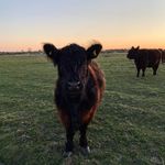 Paul - @pauls_herde - Instagram