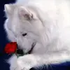 paulsherrell905 - @paulsherrell905 - TikTok