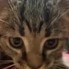 Paul Shirkey - @paul.shirkey - TikTok