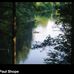 Paul Shope - Facebook