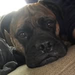 Paulette Shuffler - @pauletteshuffler - Instagram