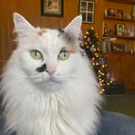 Paul Simko - Facebook
