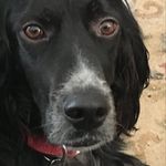 Paul J. Simoneau - @firedudern - Instagram