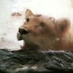 sinza paul - @paulsinza - Instagram