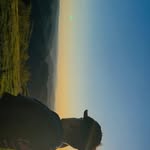 Paul Sitar - @paul_str_15 - Instagram