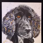Paul Slavin - @paulslavi - Instagram