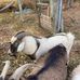 Paul Sluder - Facebook
