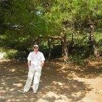 Paul Smeets - @smeetsp1553 - Instagram