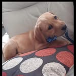 Paul Smithson - @paul.smithson1967 - Instagram