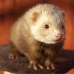 Paul Snelling - @paul.snelling.3 - Instagram