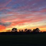 Paul Snelling - @snelling.paul - Instagram