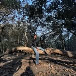 Sohom Paul - @sohompaul_195 - Instagram