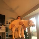 Paul Solano - @paulcilantro - Instagram