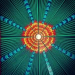 Paul J. Solem - @pauljsolem - Instagram