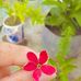 Paul Solin - Facebook