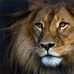 Paul Soll - Facebook