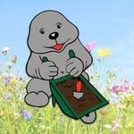 Team - Paul Sonntag Gartengestaltung und -pflege - @team_paulsonntag - Instagram