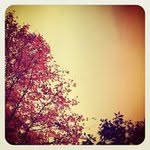 Paul Souther - @paulsouther - Instagram