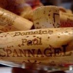 Domaine Paul Spannagel - @vins.paul.spannagel - Instagram