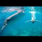 Paul Hayes - @paulspanoply - Instagram