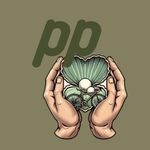 Paul's pareltjes - @pauls__pareltjes - Instagram