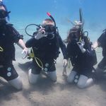 Paul Sparrow - @paul.sparrow.7543 - Instagram