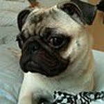 Paul Speaker - @p.speaker - Instagram