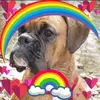 Paul Julie Stabler - @pauljuliestabler - TikTok