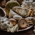Paul Stamets Stamets - @goose.841849 - Instagram