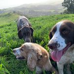 Paul Stanaway - @paul.stanaway - Instagram