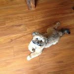Paul Stanphill - @paulstanphill - Instagram