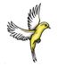 Paul Stapleton - Facebook