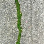 Paul Stapleton - @paulstapleton - Instagram
