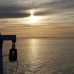 Paul Starling - @paul.starling29 - Instagram